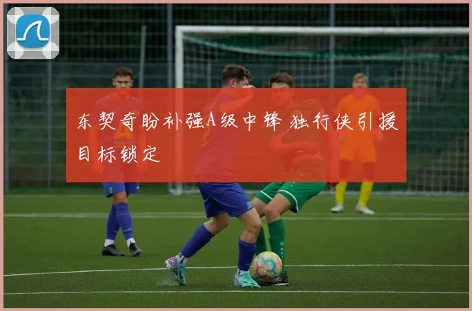 东契奇盼补强A级中锋 独行侠引援目标锁定