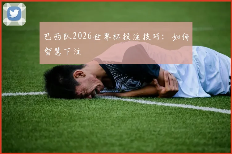 巴西队2026世界杯投注技巧:如何智慧下注